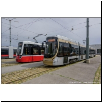 2021-05-21 Alstom Flexity Bruxelles (03700375).jpg